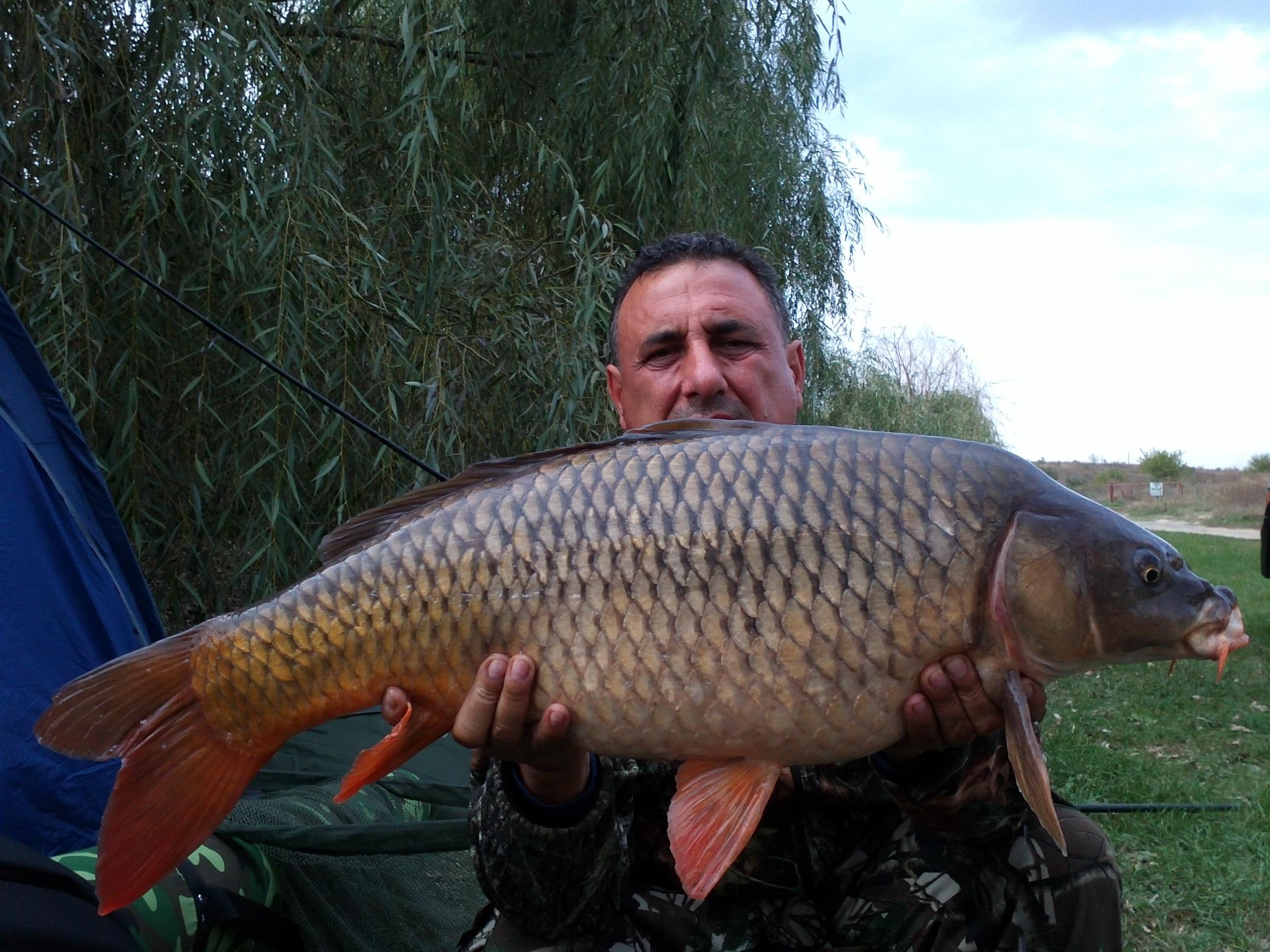 ceva pesti prinsi de mine - 373.jpg